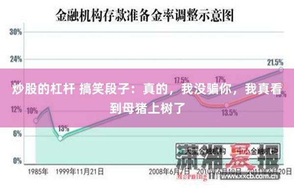 炒股的杠杆 搞笑段子：真的，我没骗你，我真看到母猪上树了