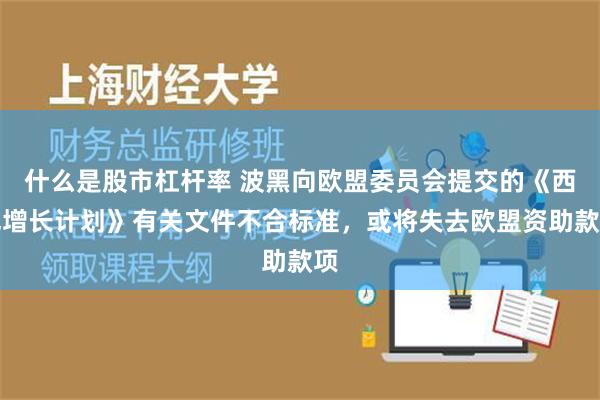 什么是股市杠杆率 波黑向欧盟委员会提交的《西巴增长计划》有关文件不合标准，或将失去欧盟资助款项