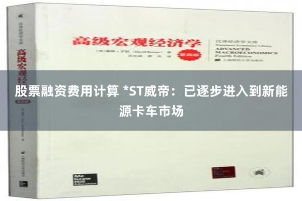 股票融资费用计算 *ST威帝：已逐步进入到新能源卡车市场