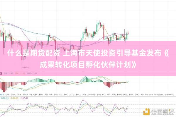 什么是期货配资 上海市天使投资引导基金发布《成果转化项目孵化伙伴计划》