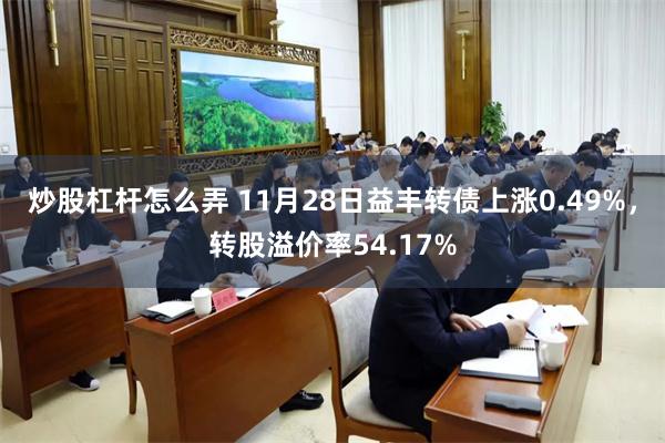 炒股杠杆怎么弄 11月28日益丰转债上涨0.49%，转股溢价率54.17%