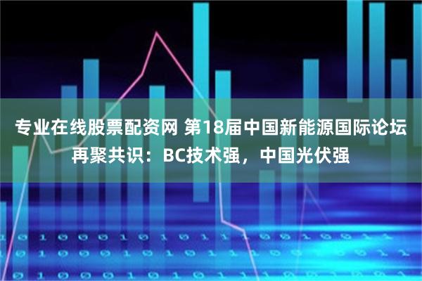 专业在线股票配资网 第18届中国新能源国际论坛再聚共识：BC技术强，中国光伏强