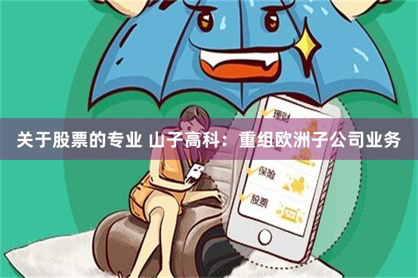 关于股票的专业 山子高科：重组欧洲子公司业务