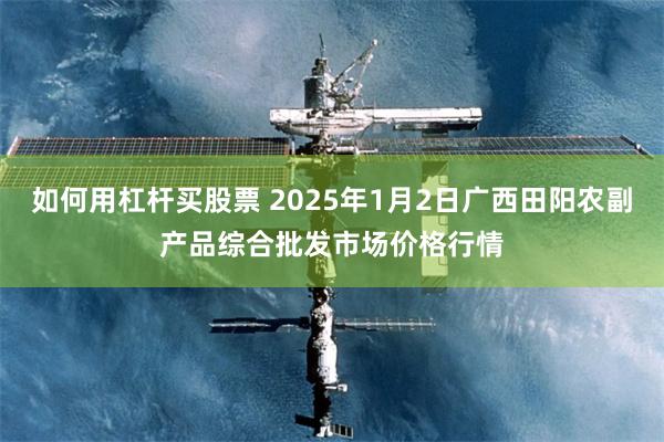 如何用杠杆买股票 2025年1月2日广西田阳农副产品综合批发市场价格行情