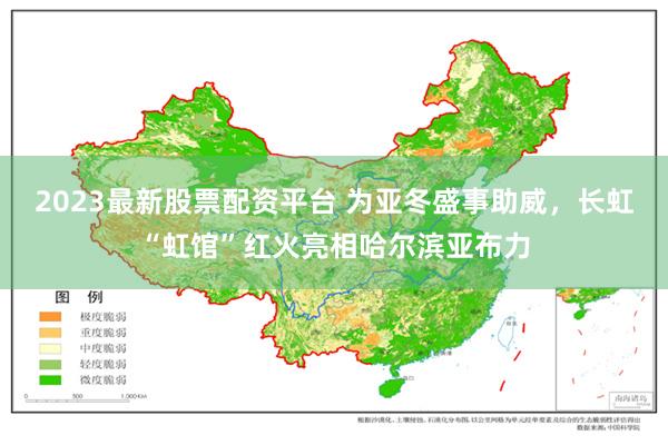 2023最新股票配资平台 为亚冬盛事助威，长虹“虹馆”红火亮相哈尔滨亚布力