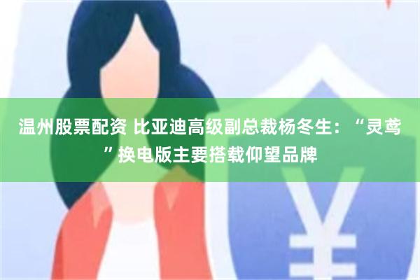 温州股票配资 比亚迪高级副总裁杨冬生：“灵鸢”换电版主要搭载仰望品牌