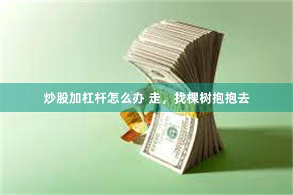 炒股加杠杆怎么办 走，找棵树抱抱去