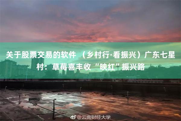 关于股票交易的软件 （乡村行·看振兴）广东七星村：草莓喜丰收 “映红”振兴路